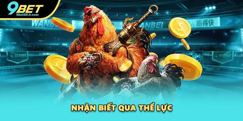 Nhận biết qua thể lực