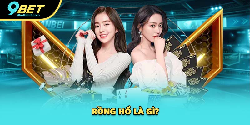 Rồng hổ là gì?